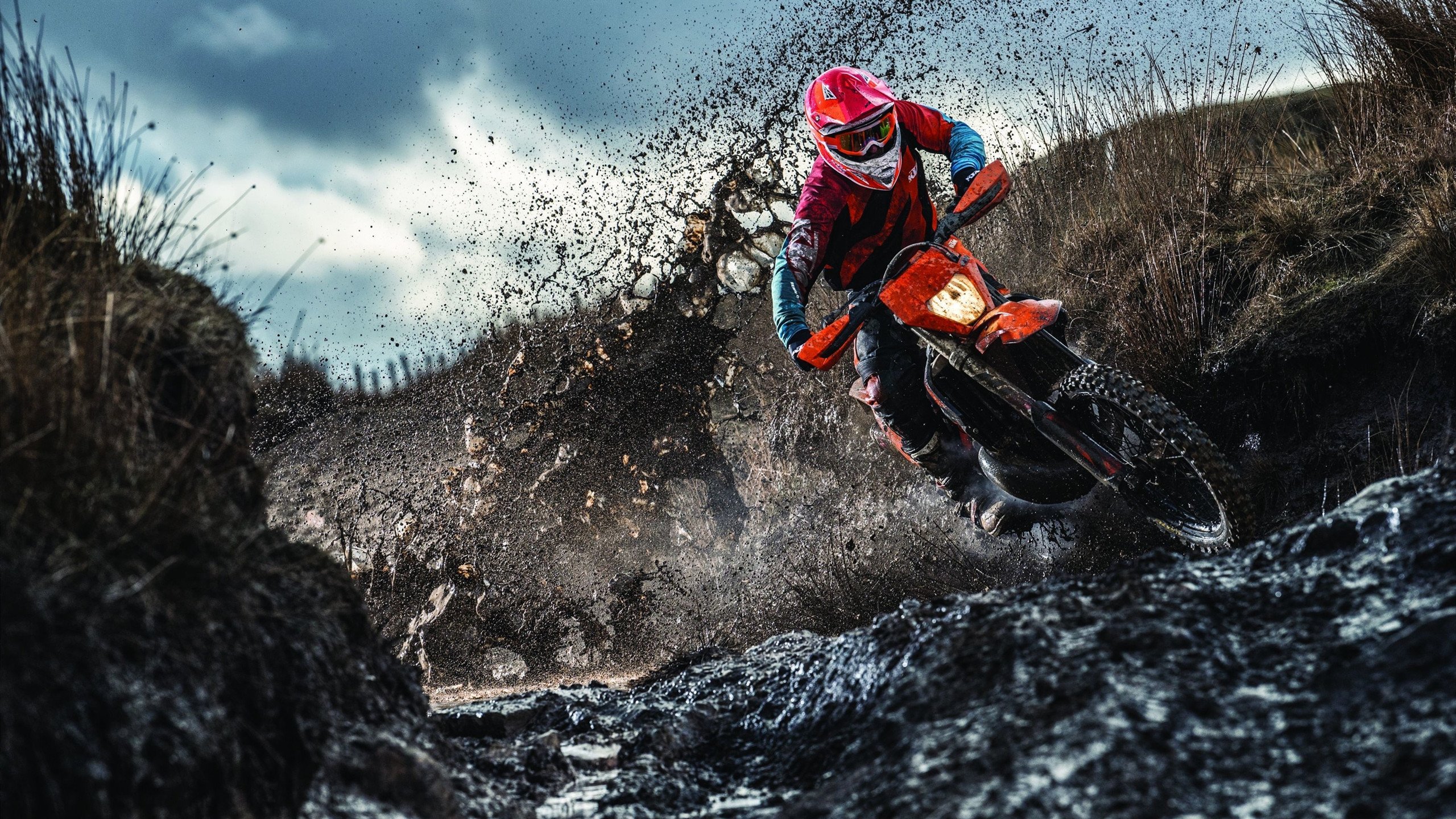 中超球队主场球迷互动活动开展,球迷给中超球队设计的队徽